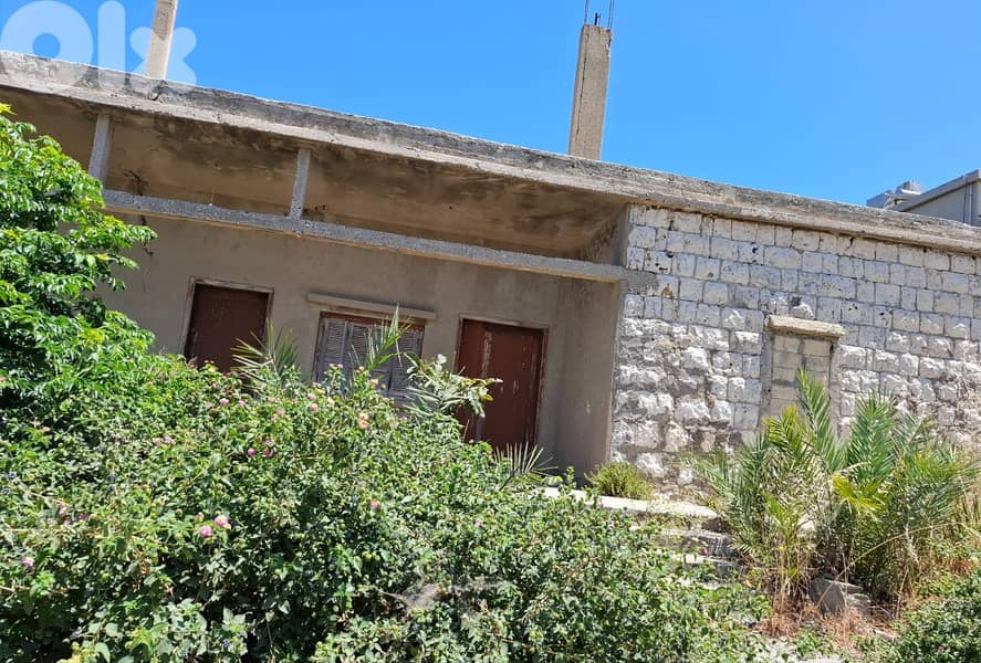 Land with stand-alone house for sale in Hamatأرض مع منزل مستقل للبيع 3