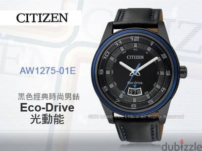 Citizen Watch Eco Drive (Work on Light)