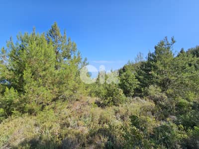 RWB360EA - Land for sale in Safra