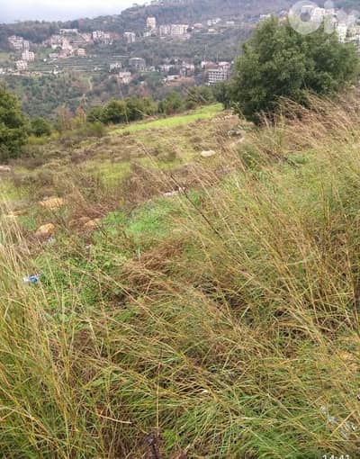 Land for Sale in Chwaya - Prime Investment Opportunity