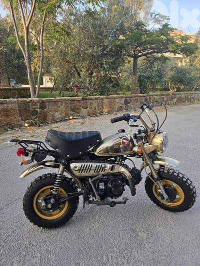 monkey gold limited edition