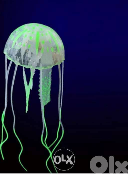 Magical luminous aquarium jellyfish 8