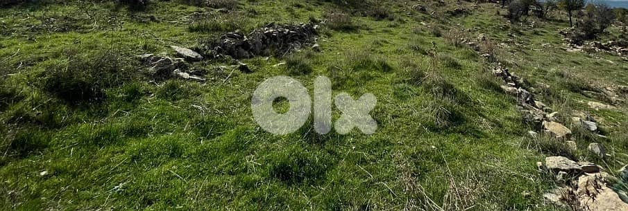 1017 Sqm |Prime Location Land ForSale In Tarchich ارض للبيع في ترشيش 2