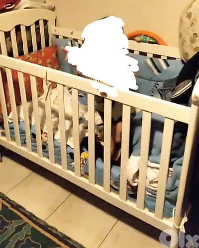 baby white wooden crib