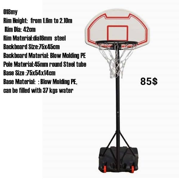 Basketball 5