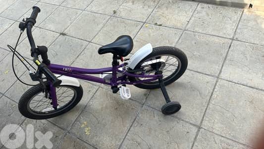 Giant bike 12 inch