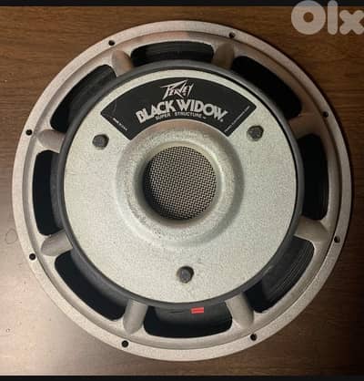 Peavey Black Widow Speaker