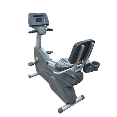 lazy bike life fitness like new