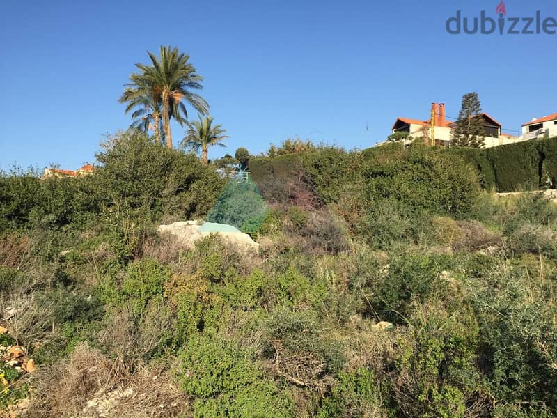 1495m2 land+sea view 4 sale in Batroun/Jdabra - أرض للبيع في البترون 1