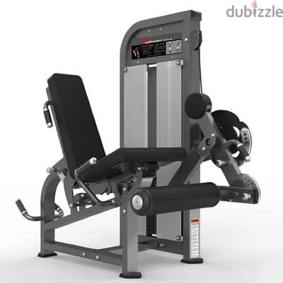 seated leg curl