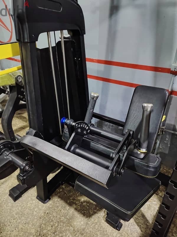seated leg curl 1