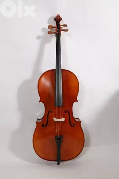 Starway Premium quality Cello