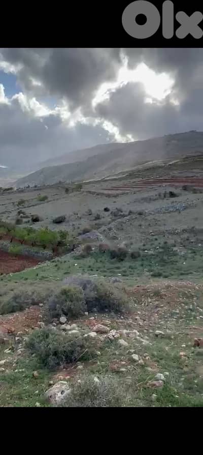 zahle twaite land 1200 sqm for sale #6635