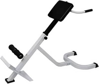 back extension