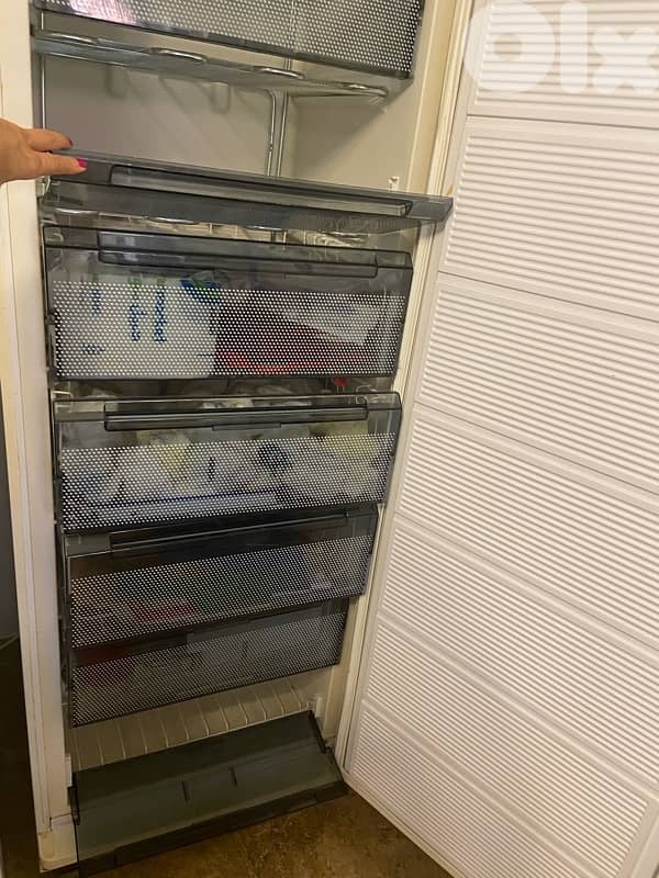 freezer 1