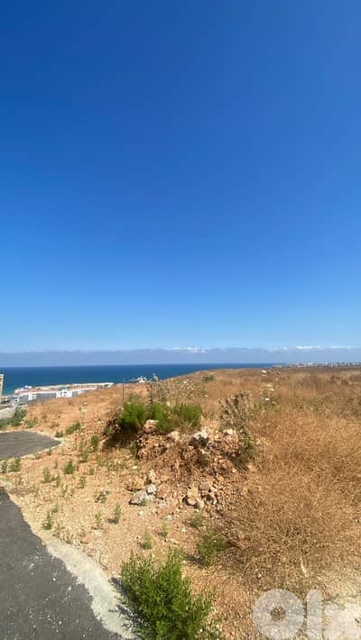 2 Lands for sale in Tripoli - قطعتا أرض للبيع في طرابلس