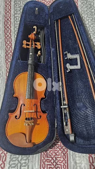 violin