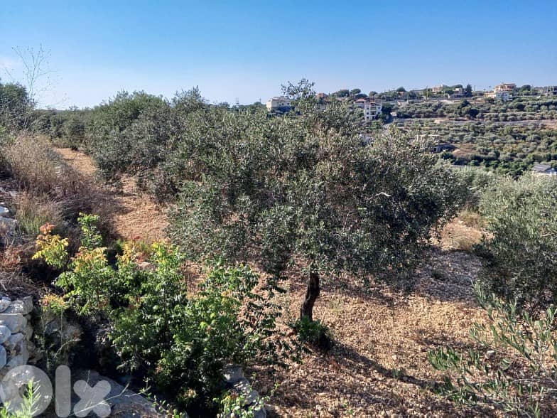 2056m2 Land+mountain view 4 sale in Batroun - أرض للبيع في البترون 1