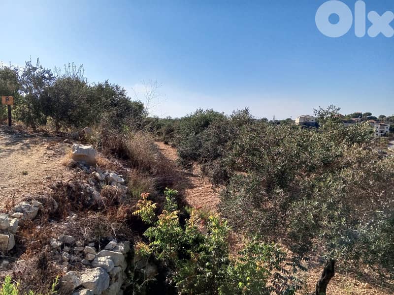 2056m2 Land+mountain view 4 sale in Batroun - أرض للبيع في البترون 2