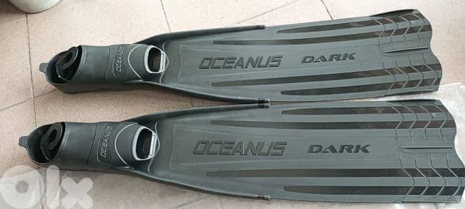 350$ full equipment freedive