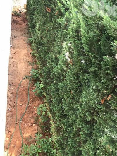 apartment For sale in biyada شقة للبيع في البياضة