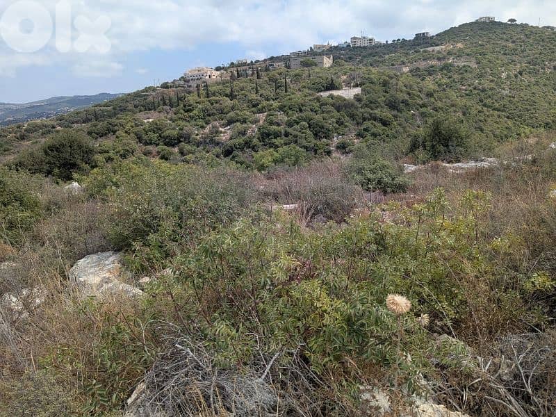 Residential land for sale in Berbara, jbeil_أرض للبيع في البربارة جبيل 1