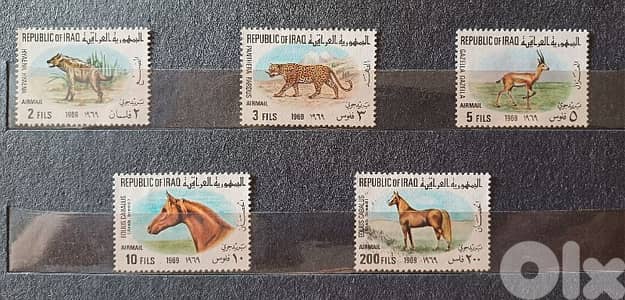 سات عراقي