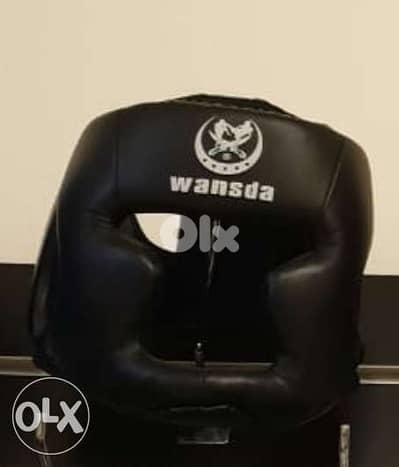 Boxing head gear