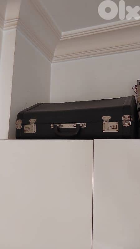 2 sizes accordion instruments 1