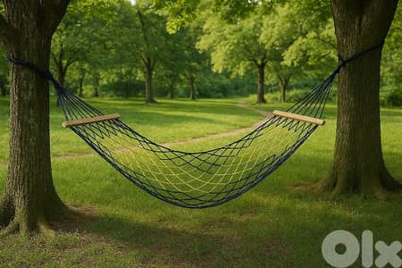 Sleeping Swing
