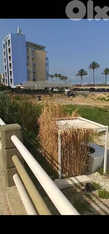 land for sale in halat أرض للبيع في حالات