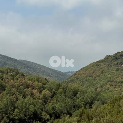 Land For Sale In Mechmech Jbeil أرض للبيع في مشمش جبيل