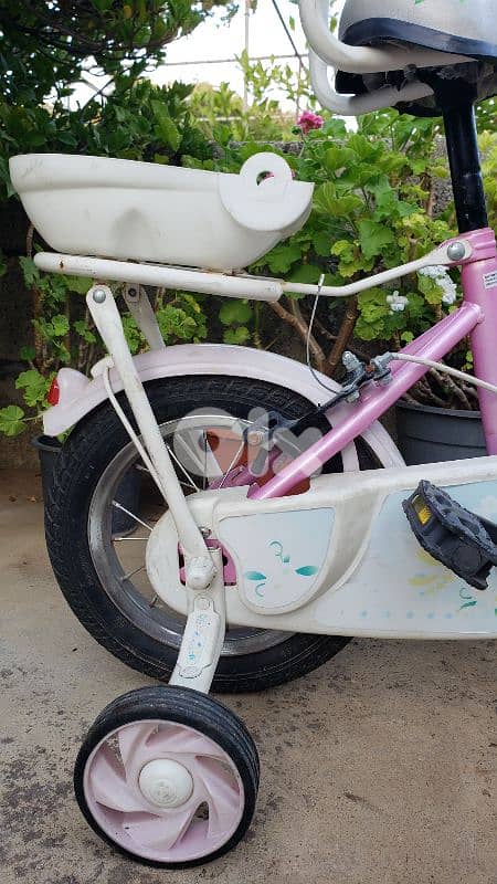 bicycle 2