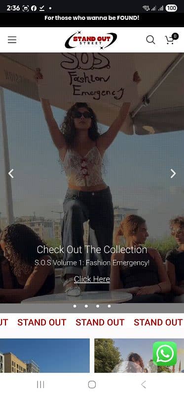 Starting From 250 USD Web Development, Hosting, Emails, QR Code, Menu