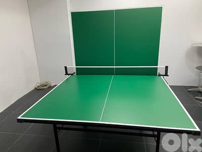 Table tennis pingpong outdoor