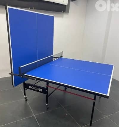 Table tennis pingpong outdoor