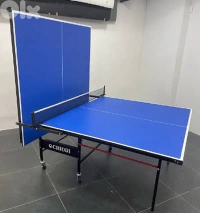 Table tennis ping pong indoor
