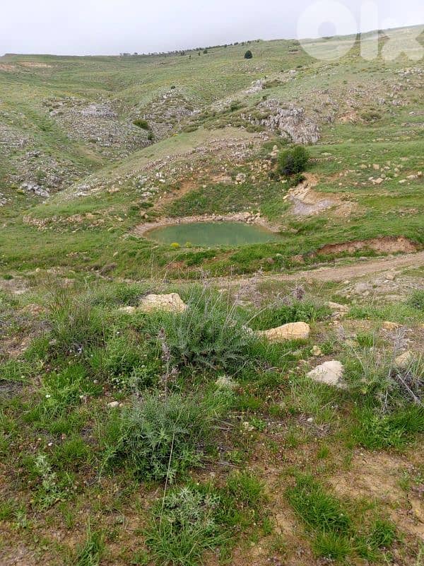 أرض للبيع في عين داره عاليه land for sale in ajn Dara aley 2