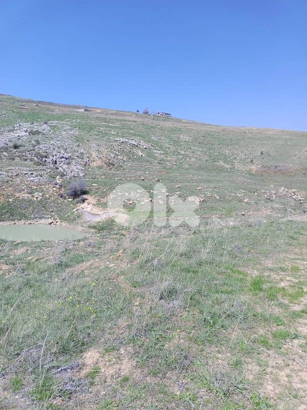 أرض للبيع في عين داره عاليه land for sale in ajn Dara aley 4