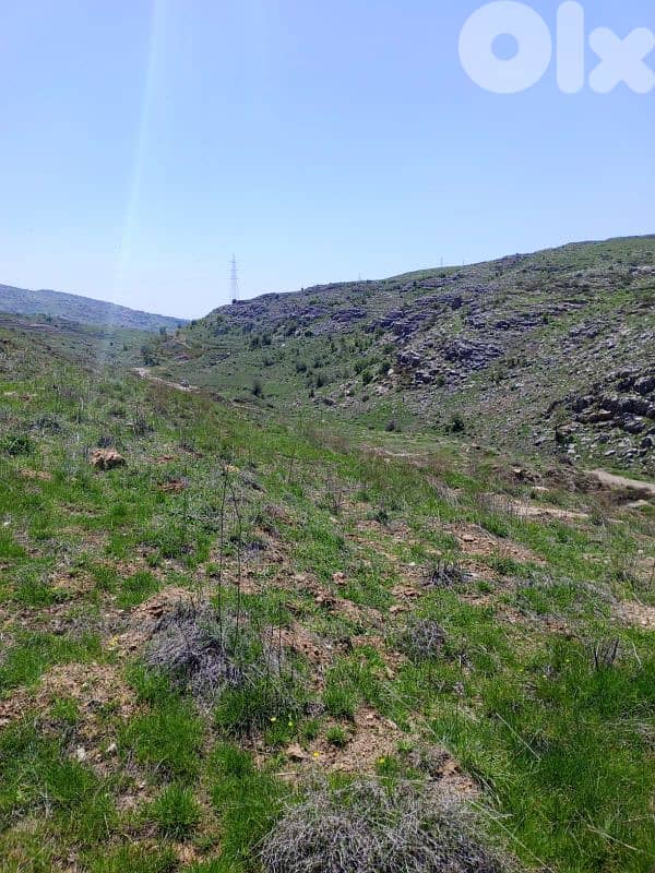 أرض للبيع في عين داره عاليه land for sale in ajn Dara aley 5