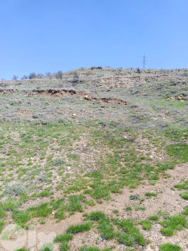 أرض للبيع في عين داره عاليه land for sale in ajn Dara aley 8