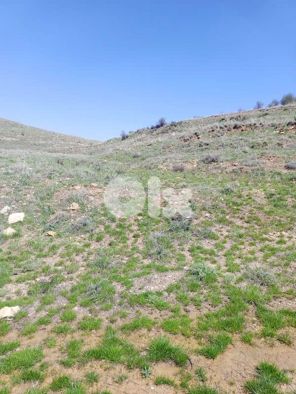 أرض للبيع في عين داره عاليه land for sale in ajn Dara aley 9
