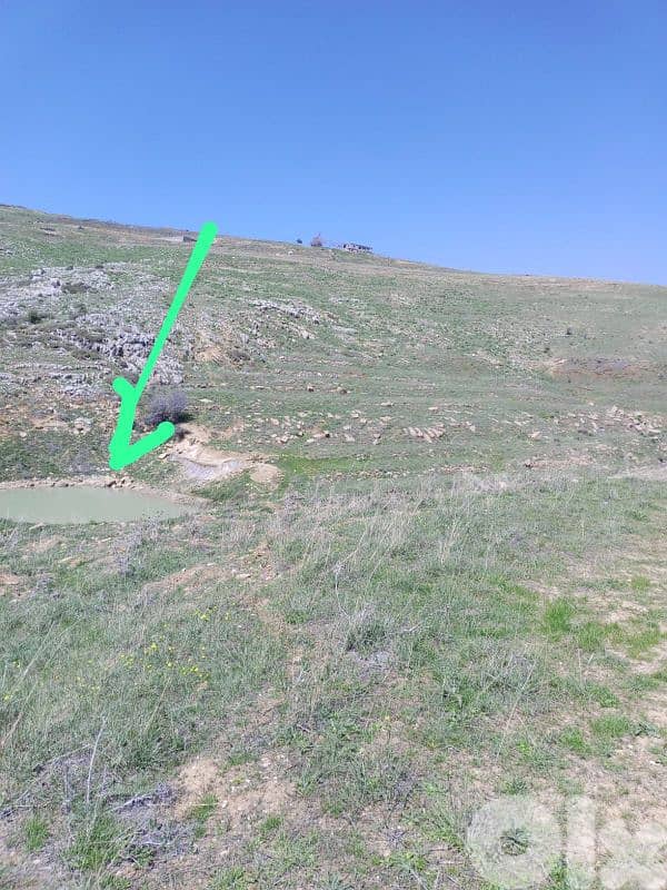 أرض للبيع في عين داره عاليه land for sale in ajn Dara aley 10
