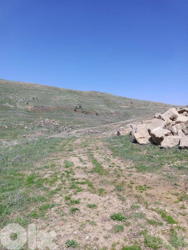 أرض للبيع في عين داره عاليه land for sale in ajn Dara aley 11