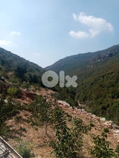 Land for sale in Haqel-Jbeil - أرض للبيع في حاقل - جبيل