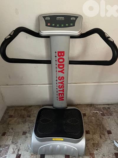 Vibration body system