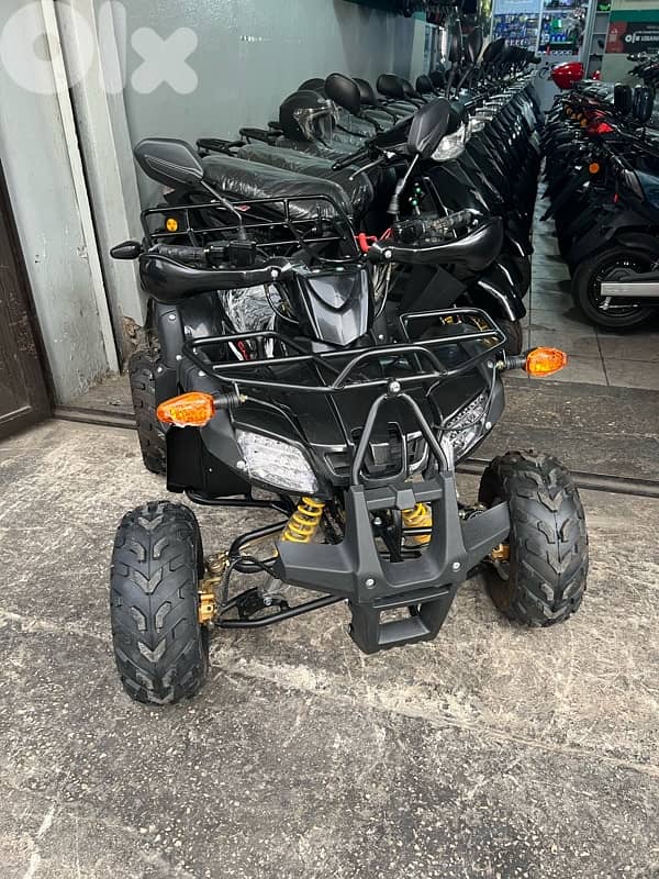 ATV 110 1