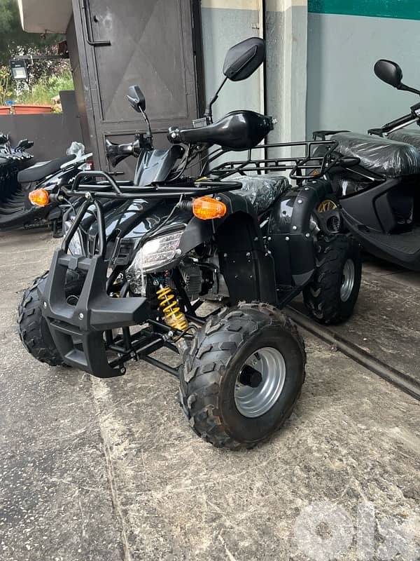 ATV 110 2