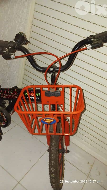 Bicycle 12" 2
