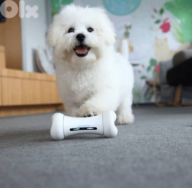 Wickedbone Smart Bone, Automatic & Interactive Toy for Dog/4$ delivery 5